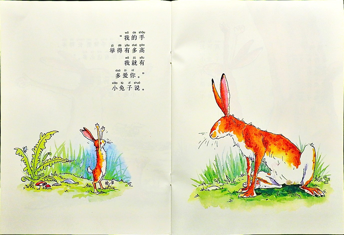 猜猜我有多爱你 (08),绘本,绘本故事,绘本阅读,故事书,童书,图画书,课外阅读